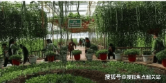 可俯瞰社区景不雅禺水道美景